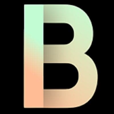 BlockWise Consulting logo