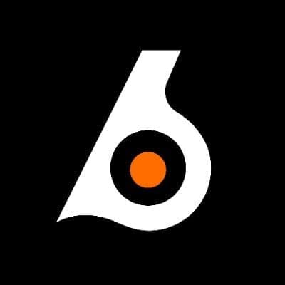 Birdeye logo