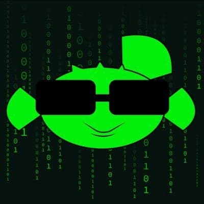 Blockchain Security Audits