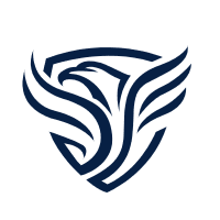 Smart Contract Auditing