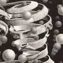 Entity Formation & DAO Structuring